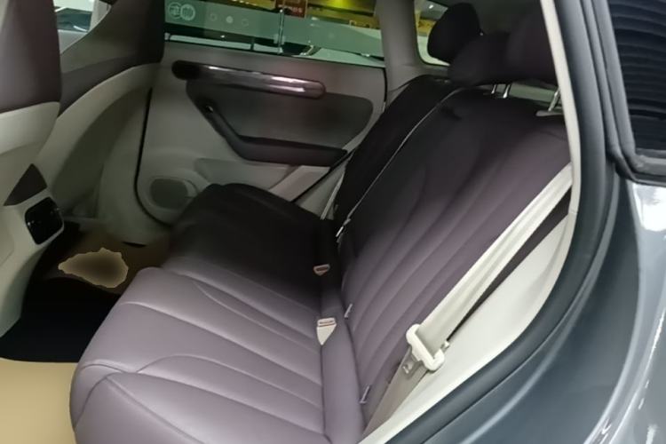 Used Leapmotor C11 2021 Executive Edition 510 Left Rear Seat