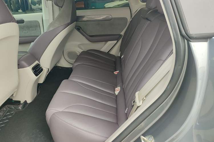 Used Leapmotor C11 2021 Revised Version Luxury Edition Left Rear Seat