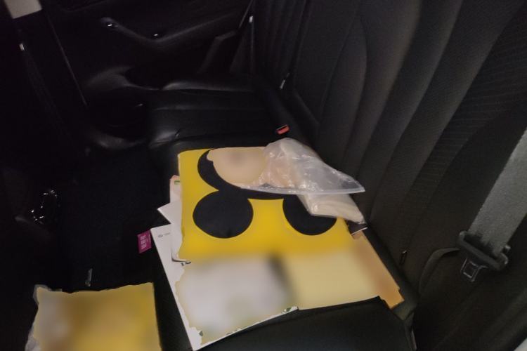 Used Leapmotor C11 2021 Luxury Edition Left Rear Seat