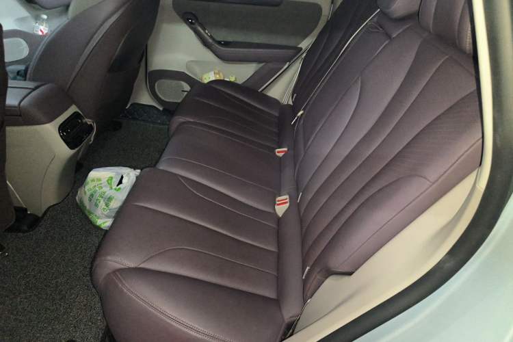 Used Leapmotor C11 2021 Deluxe Edition Left Rear Seat
