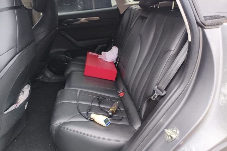 Used Leapmotor C11 2021 Luxury Edition Left Rear Seat