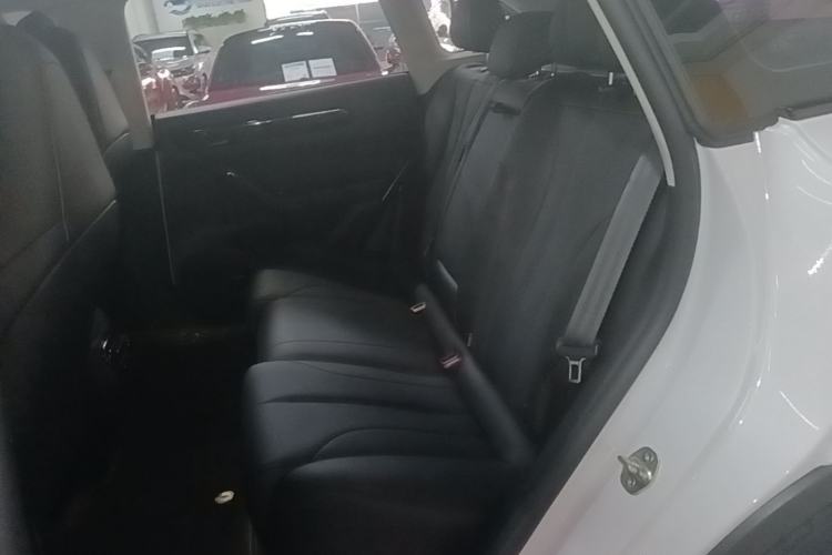 Used Leapmotor C11 2021 Luxury Edition Left Rear Seat