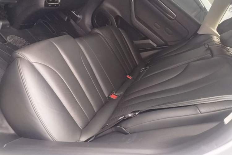 Used Leapmotor C11 2021 Luxury Edition Left Rear Seat