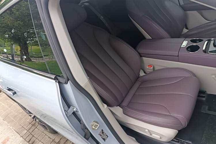 Used Leapmotor C11 2021 Revised Version Luxury Edition Right Front Seat