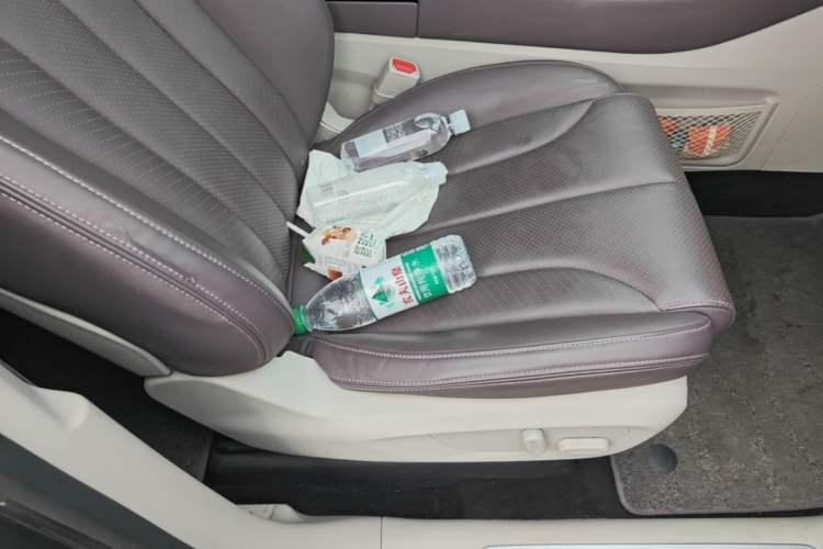 Used Leapmotor C11 2021 Deluxe Edition Right Front Seat