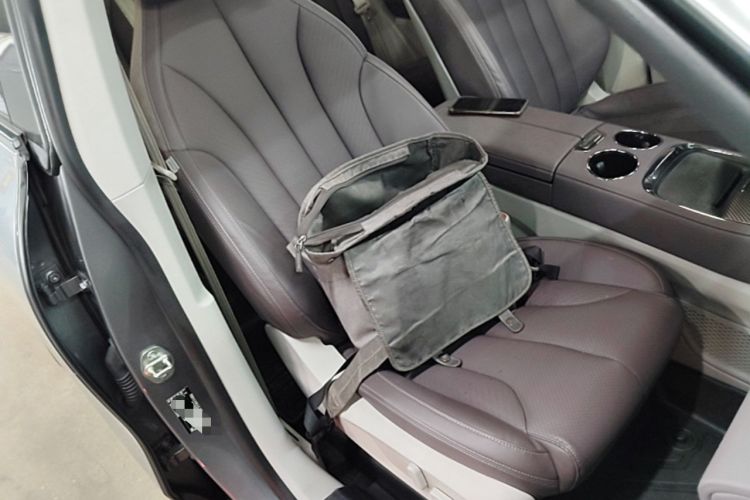 Used Leapmotor C11 2021 Revised Version Luxury Edition Right Front Seat