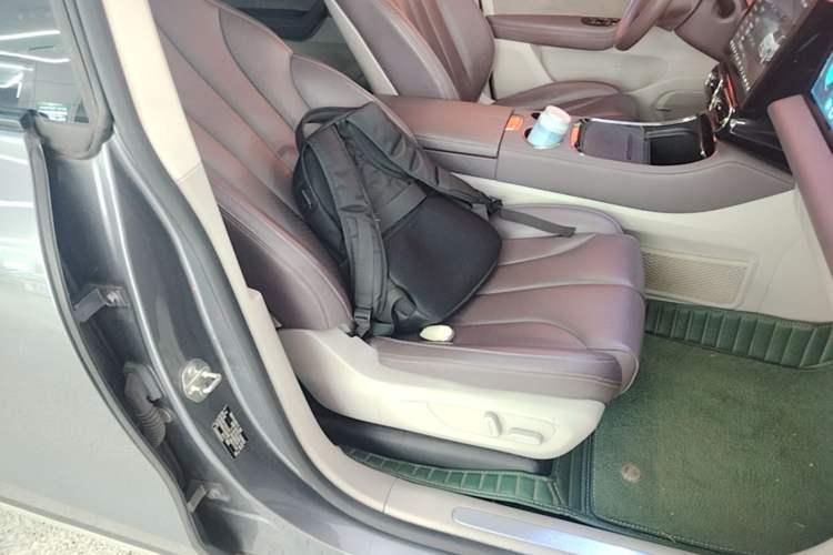 Used Leapmotor C11 2021 Revised Version Luxury Edition Right Front Seat