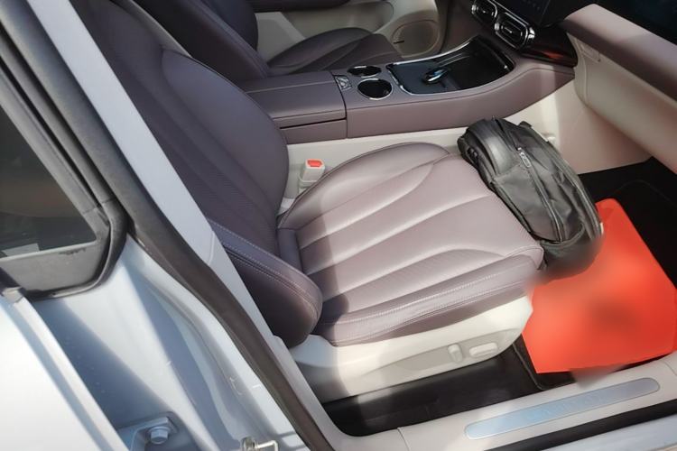 Used Leapmotor C11 2021 Luxury Edition Right Front Seat