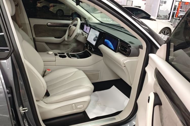 Used Leapmotor C11 2021 Luxury Edition Right Front Seat