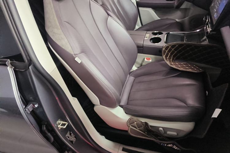 Used Leapmotor C11 2021 Luxury Edition Right Front Seat