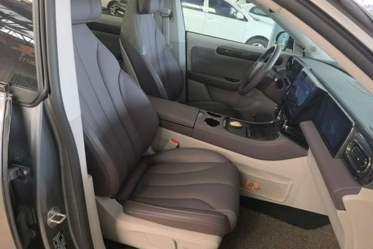 Used Leapmotor C11 2021 Revised Version Luxury Edition Right Front Seat