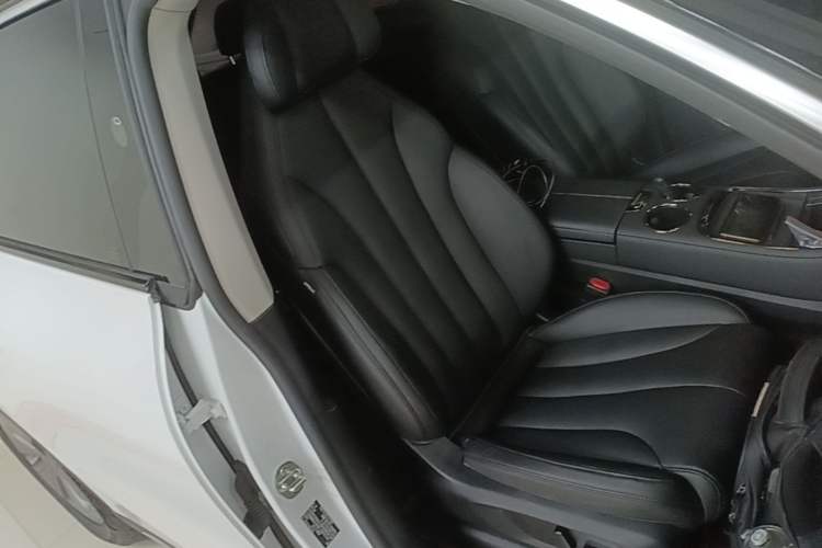 Used Leapmotor C11 2021 Luxury Edition Right Front Seat