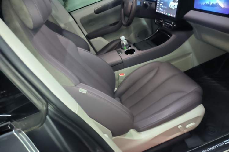 Used Leapmotor C11 2021 Revised Version Luxury Edition Right Front Seat