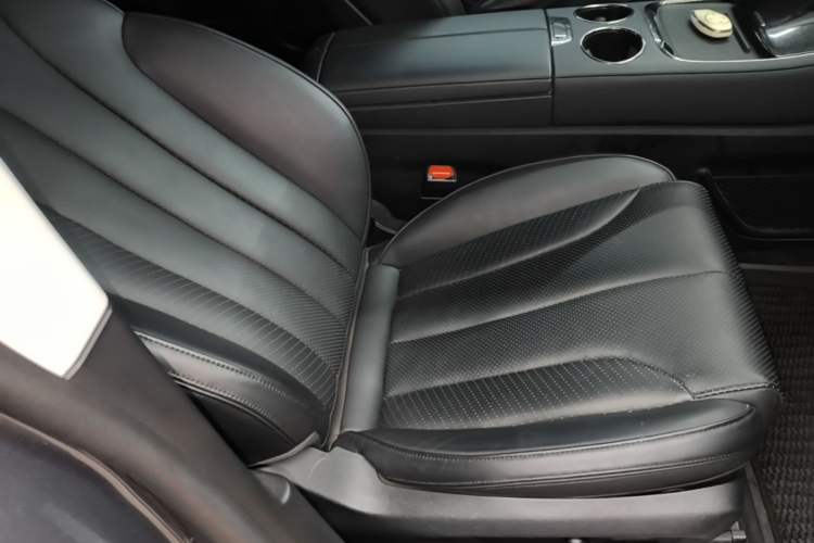 Used Leapmotor C11 2021 Luxury Edition Right Front Seat