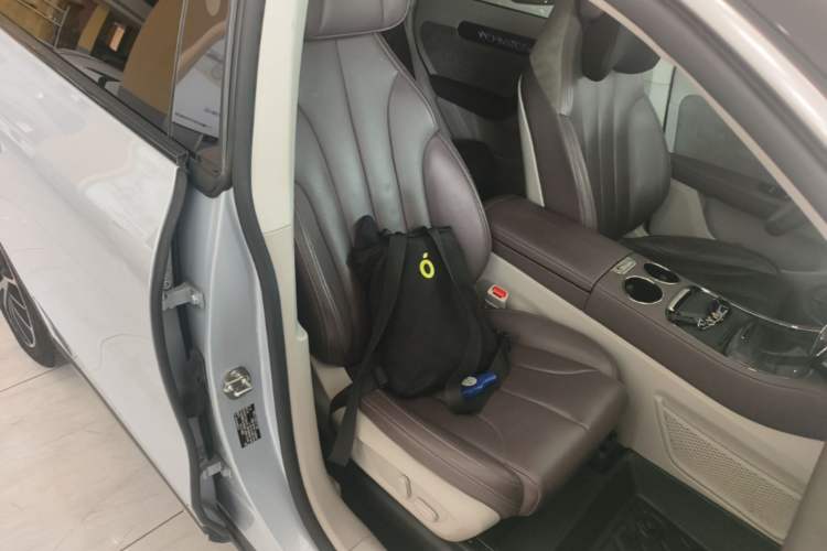 Used Leapmotor C11 2021 Revised Version Luxury Edition Right Front Seat