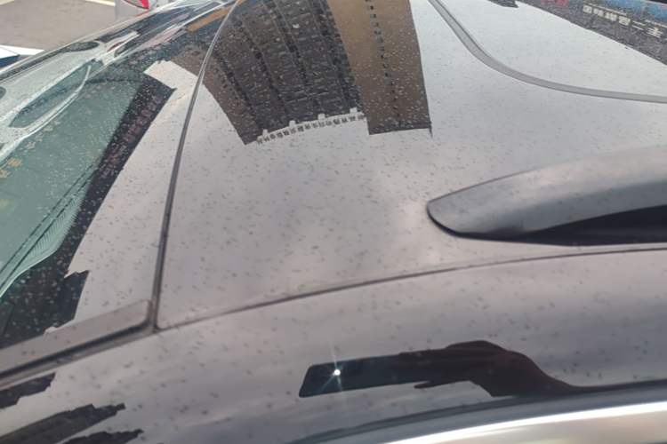Used Leapmotor C11 2021 Deluxe Edition Roof
