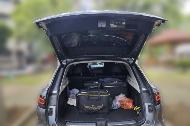 Used Leapmotor C11 2021 Performance Edition Trunk