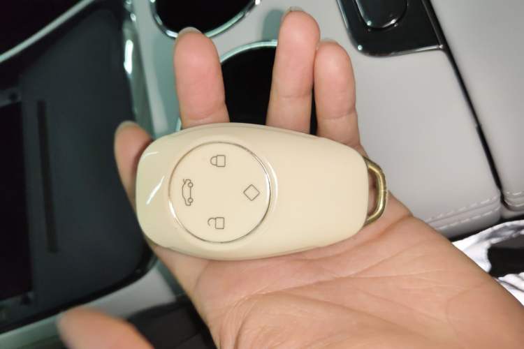 Used Leapmotor C11 2021 Luxury Edition Vehicle Key