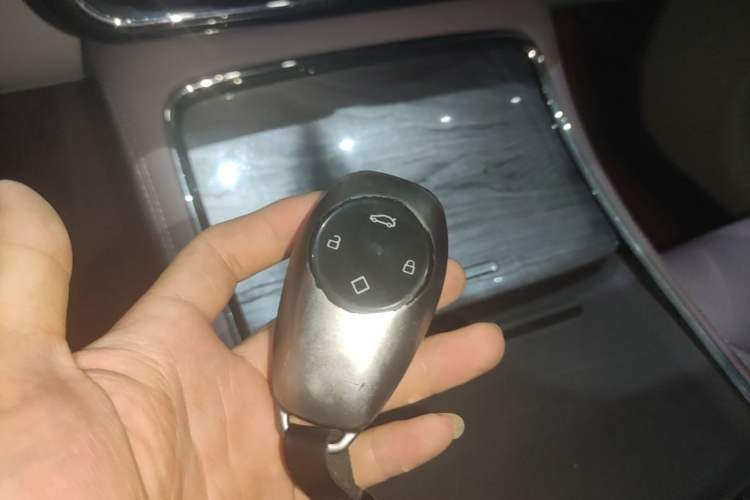 Used Leapmotor C11 2021 Deluxe Edition Vehicle Key