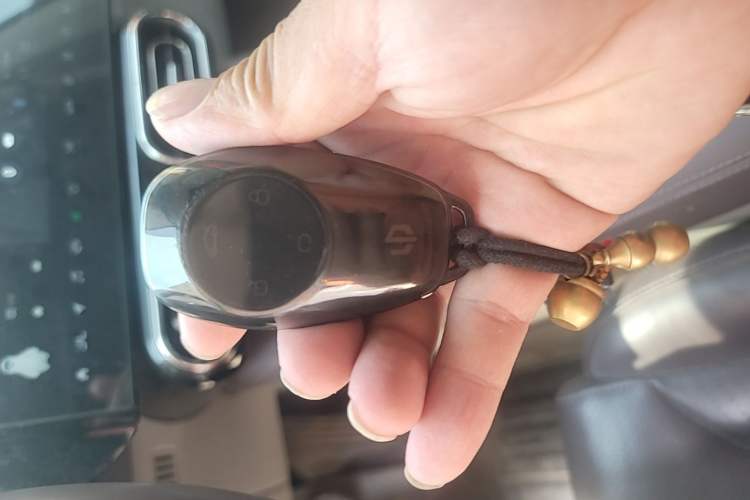 Used Leapmotor C11 2021 Revised Version Luxury Edition Vehicle Key