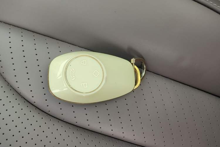 Used Leapmotor C11 2021 Revised Version Luxury Edition Vehicle Key