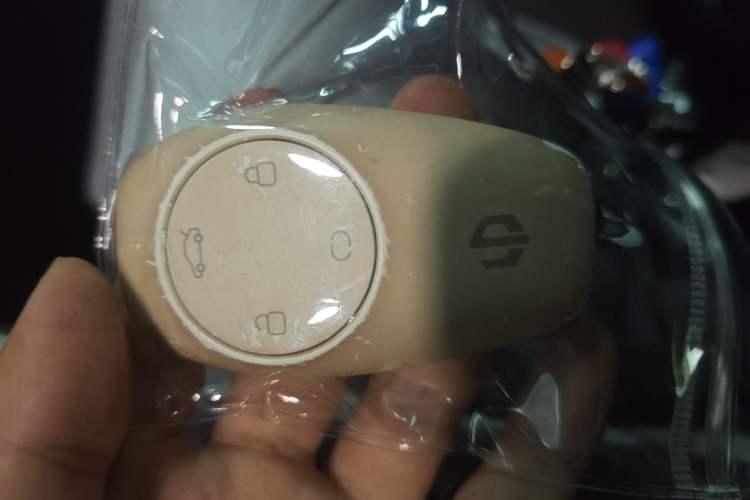 Used Leapmotor C11 2021 Deluxe Edition Vehicle Key