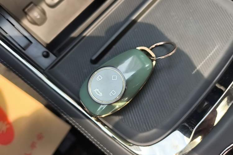 Used Leapmotor C11 2021 Deluxe Edition Vehicle Key
