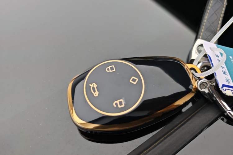 Used Leapmotor C11 2021 Deluxe Edition Vehicle Key