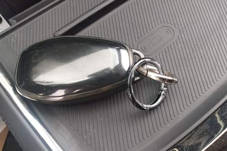 Used Leapmotor C11 2021 Luxury Edition Vehicle Key