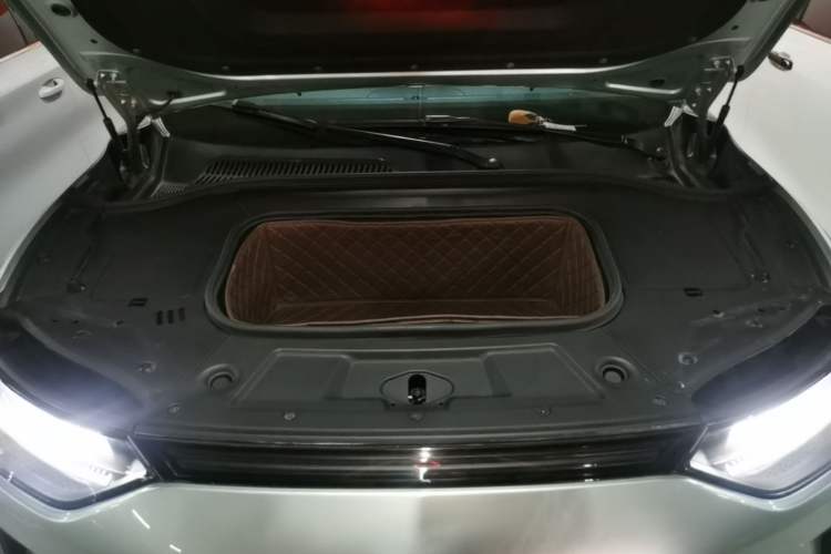 Used Leapmotor C11 2021 Executive Edition 610 Engine Bay
