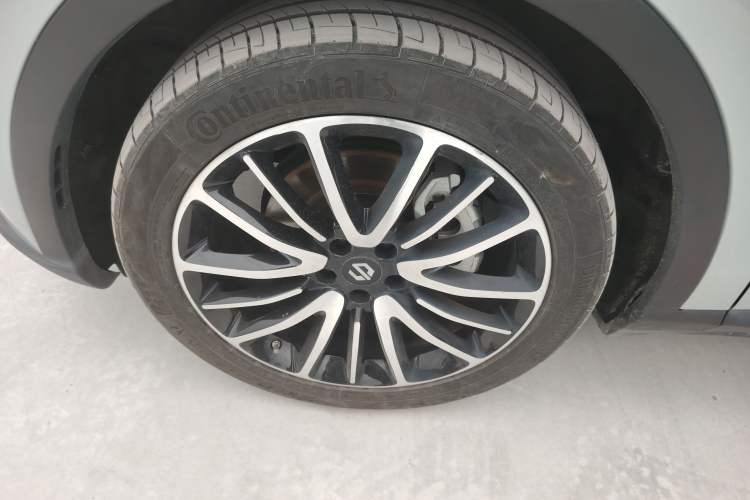 Used Leapmotor C11 2021 Performance Edition Exterior 4