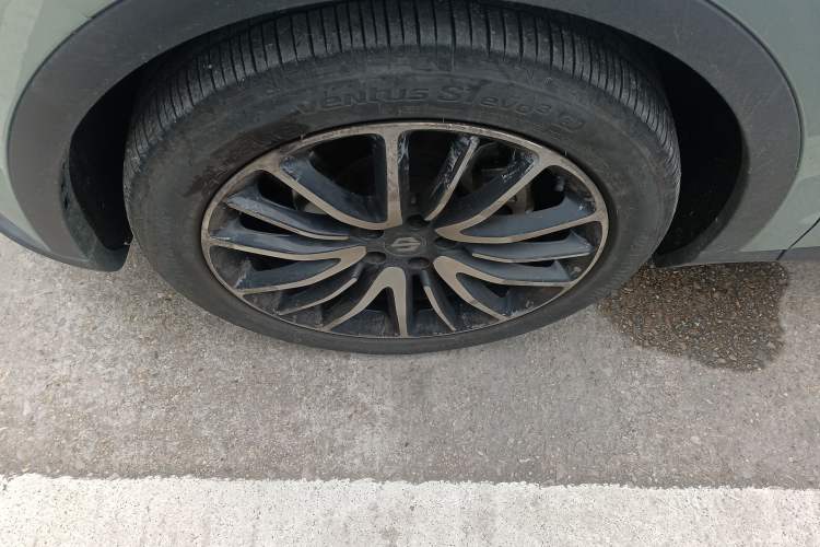Used Leapmotor C11 2021 Performance Edition Exterior 4