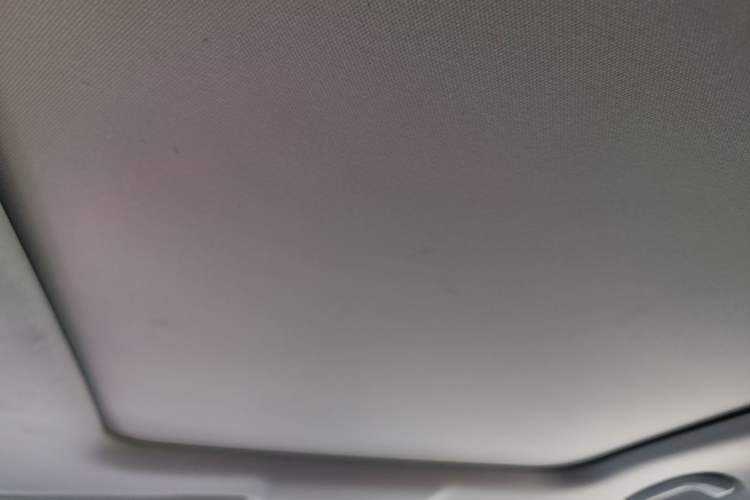 Used Leapmotor C11 2021 Performance Edition Headliner