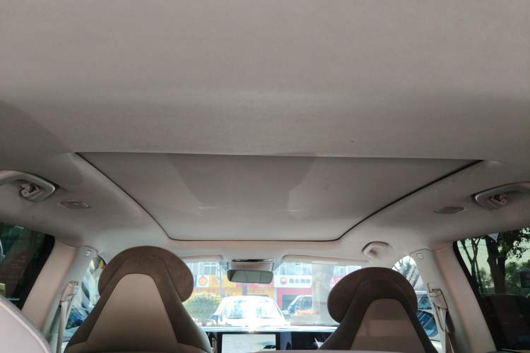 Used Leapmotor C11 2021 Performance Edition Headliner