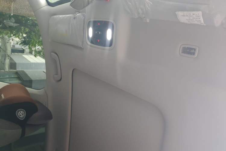 Used Leapmotor C11 2021 Deluxe Edition Headliner