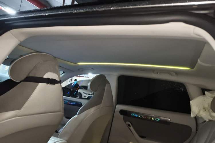Used Leapmotor C11 2021 Deluxe Edition Headliner