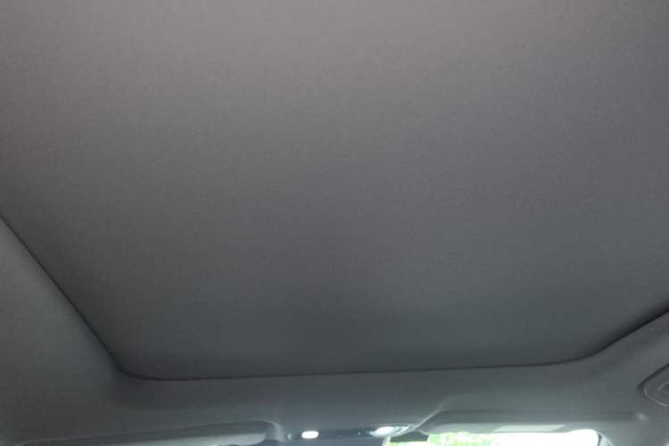 Used Leapmotor C11 2021 Deluxe Edition Headliner
