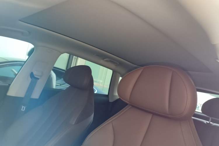 Used Leapmotor C11 2021 Performance Edition Headliner