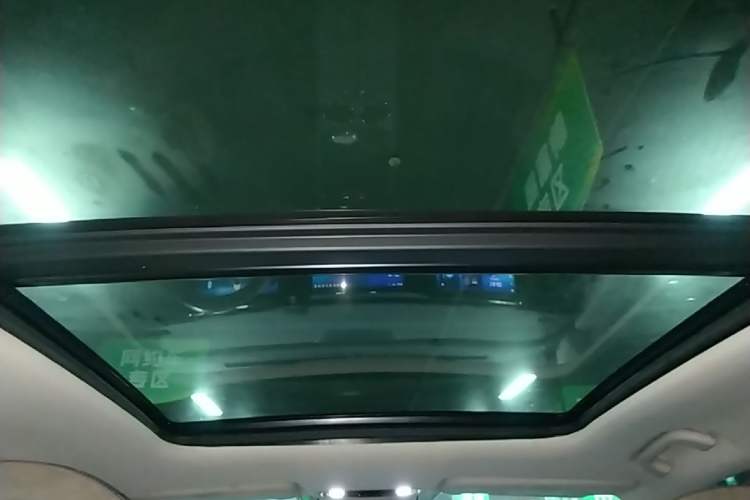 Used Leapmotor C11 2021 Deluxe Edition Headliner