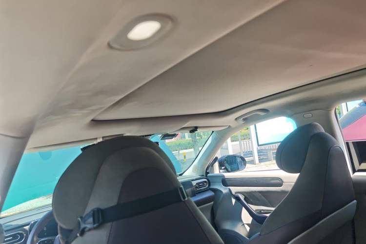 Used Leapmotor C11 2021 Executive Edition 610 Headliner