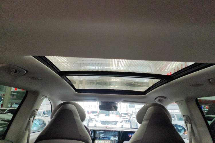 Used Leapmotor C11 2021 Deluxe Edition Headliner