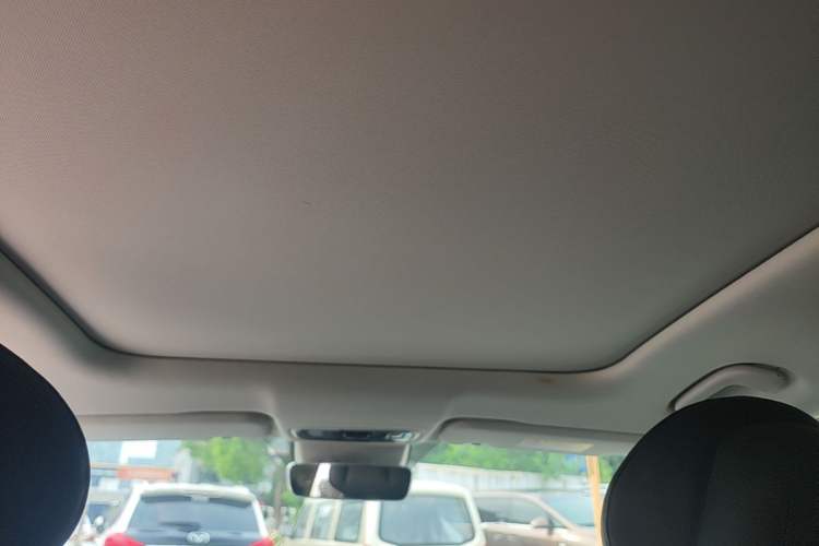 Used Leapmotor C11 2021 Deluxe Edition Headliner