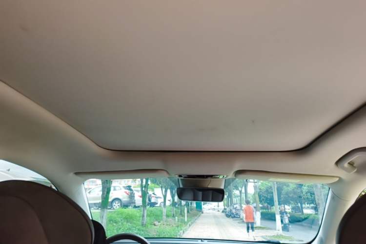 Used Leapmotor C11 2021 Deluxe Edition Headliner