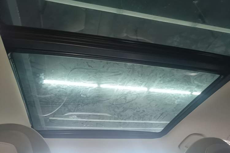 Used Leapmotor C11 2021 Deluxe Edition Headliner