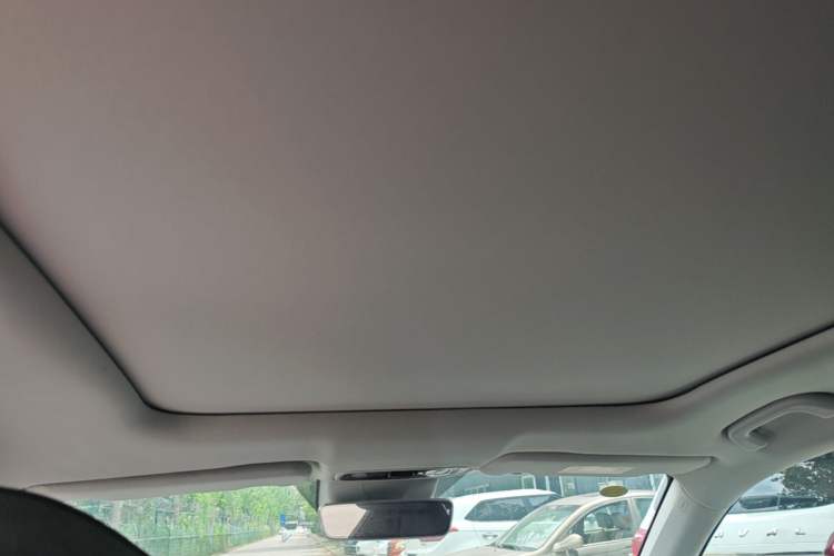 Used Leapmotor C11 2021 Deluxe Edition Headliner
