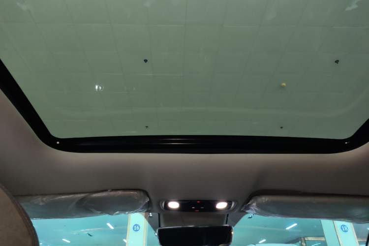 Used Leapmotor C11 2021 Deluxe Edition Headliner
