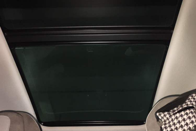 Used Leapmotor C11 2021 Deluxe Edition Headliner