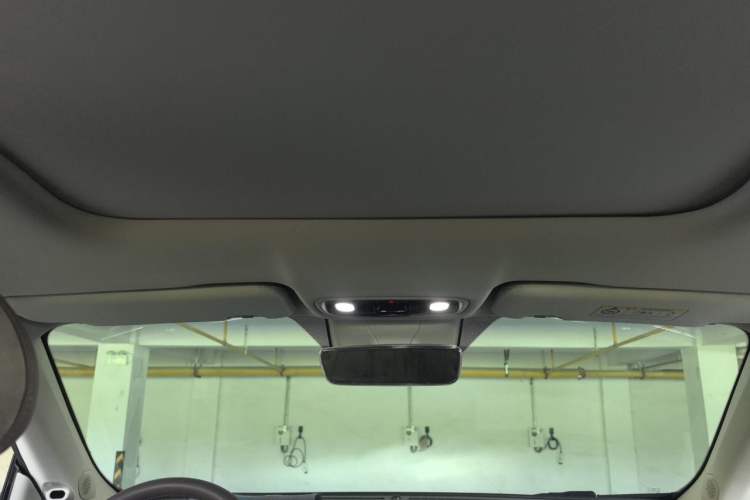 Used Leapmotor C11 2021 Deluxe Edition Headliner