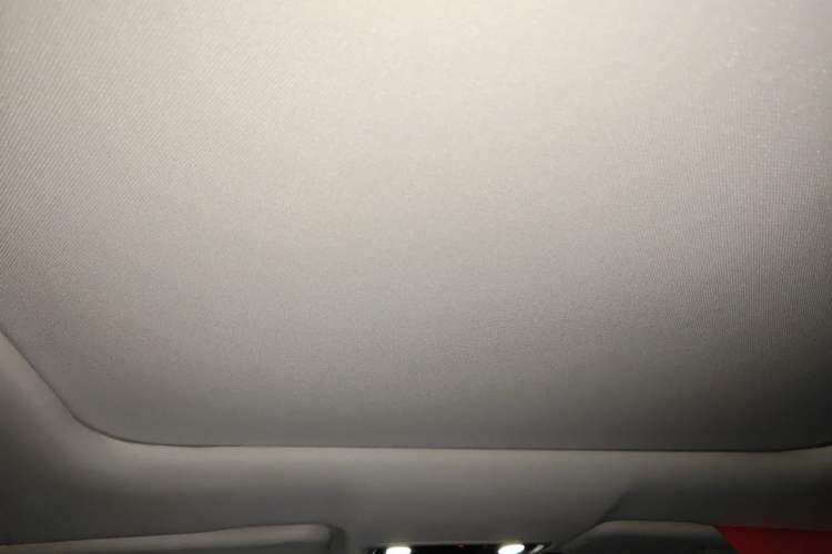 Used Leapmotor C11 2021 Deluxe Edition Headliner