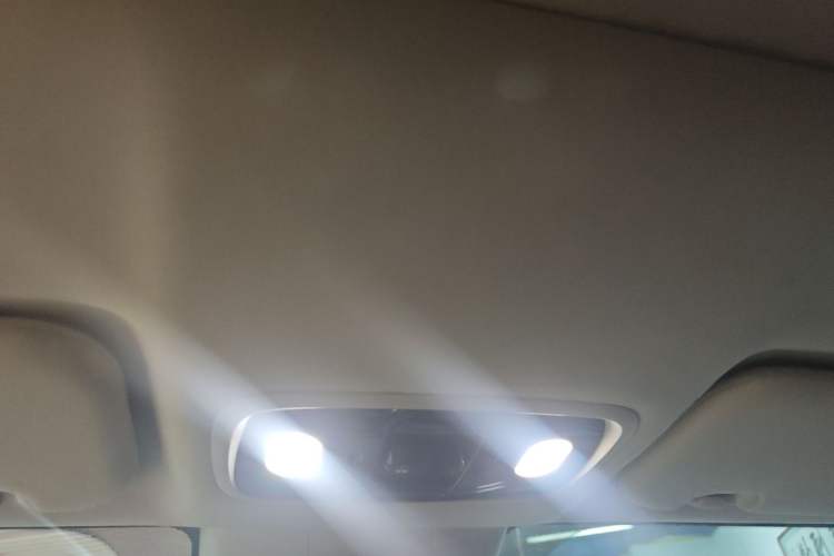 Used Leapmotor C11 2021 Performance Edition Headliner